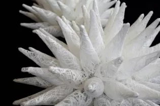 Exposition : Regards croisés_Trélazé_1 - Miki Nakamura