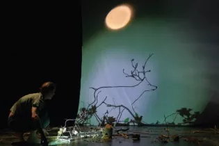 spectacle_cheminement.jpg_1 - FLOP