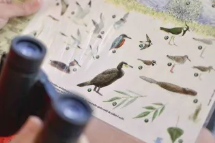 Croisière ornithologique_1 - Etienne Begouen