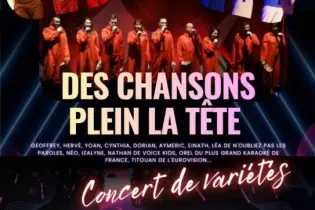Concert des chansons plein la tête_1 - Ppp