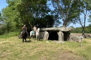 Chevaux pierre cesée_1 - Mairie de Rives-du-Loir-en-Anjou